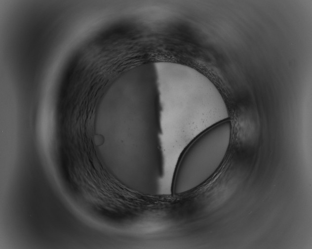 X0000095670765200801291137