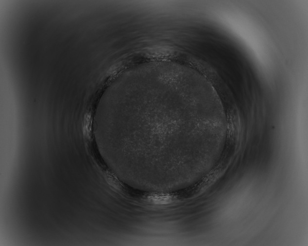 X0000095670767200801291137