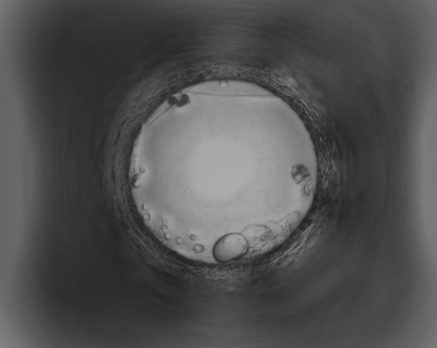 X0000095670769200801291136