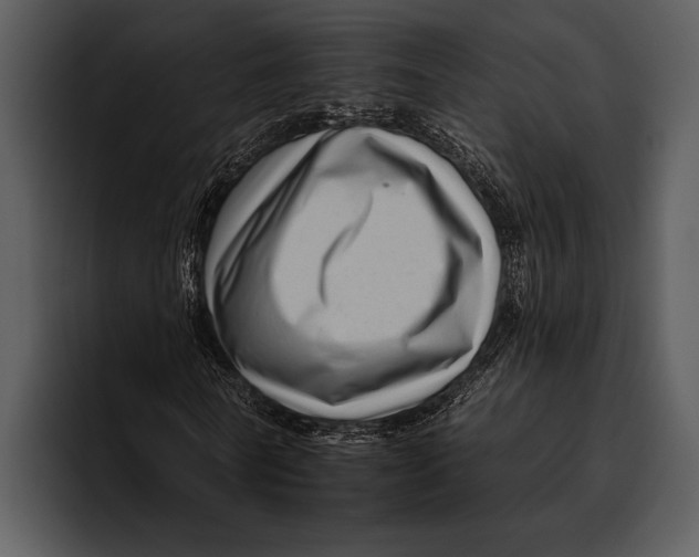 X0000095670770200801291136