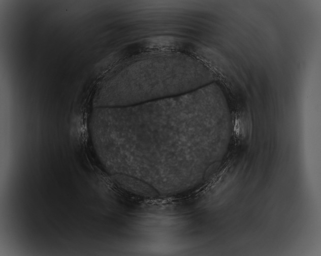 X0000095670771200801291136