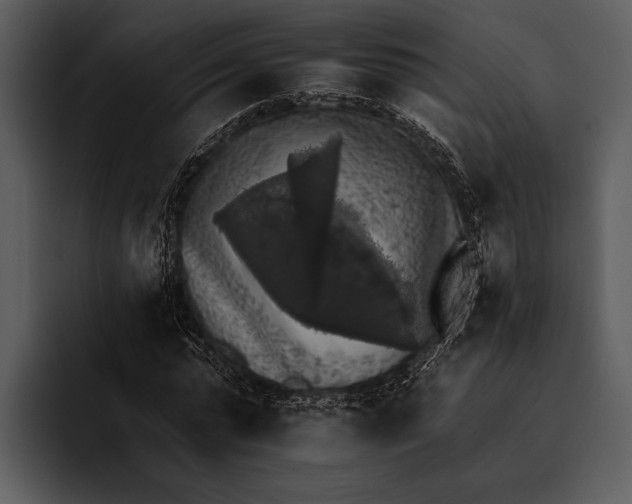 X0000095670775200801291136