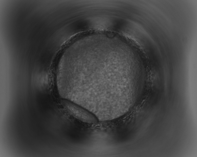 X0000095670776200801291136