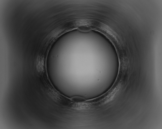 X0000095670777200801291136