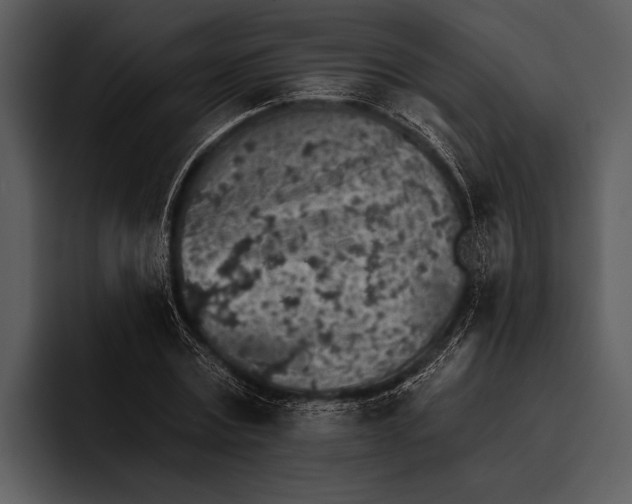 X0000095670779200801291136