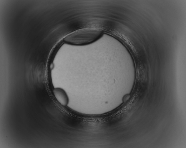 X0000095670780200801291136