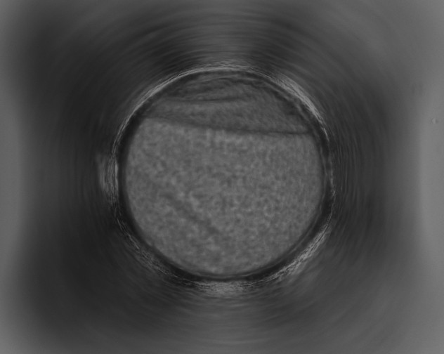 X0000095670781200801291136