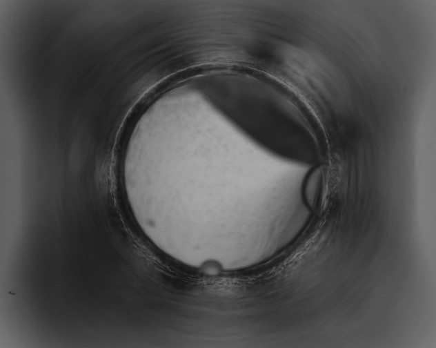 X0000095670783200801291136