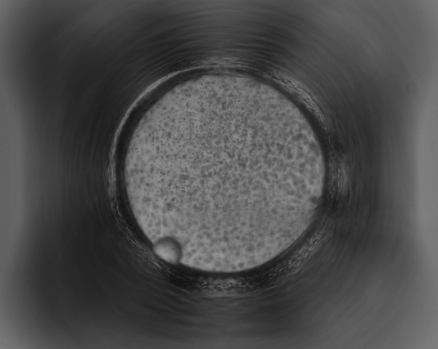 X0000095670784200801291136