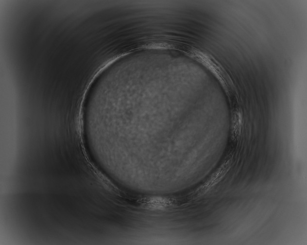 X0000095670787200801291136