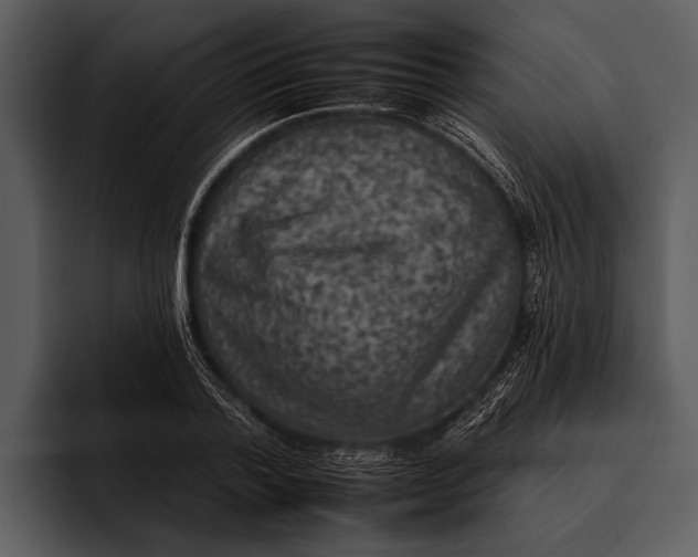 X0000095670788200801291136