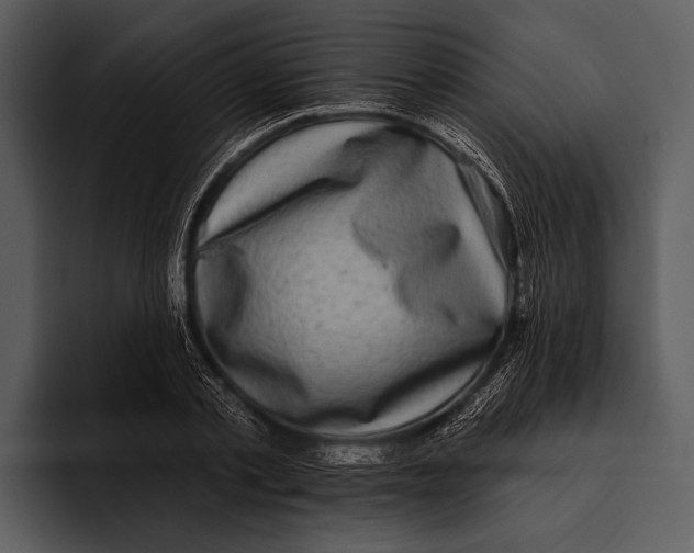 X0000095670789200801291136