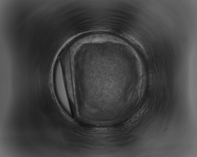 X0000095670792200801291136