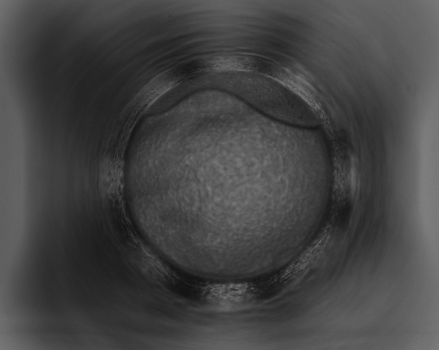 X0000095670793200801291136