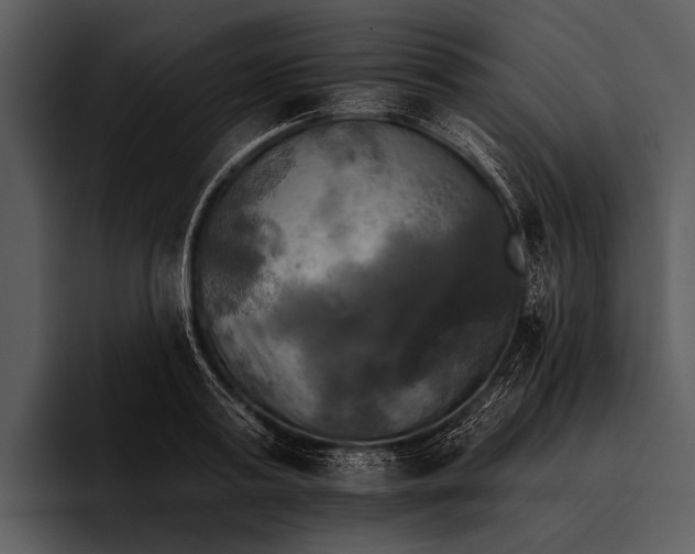 X0000095670795200801291136