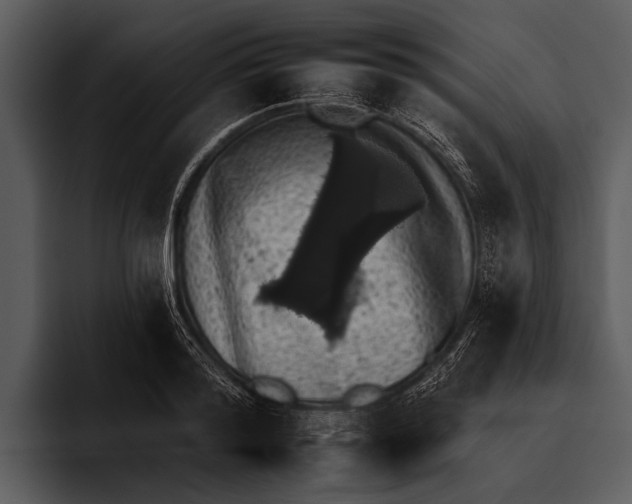 X0000095670796200801291136