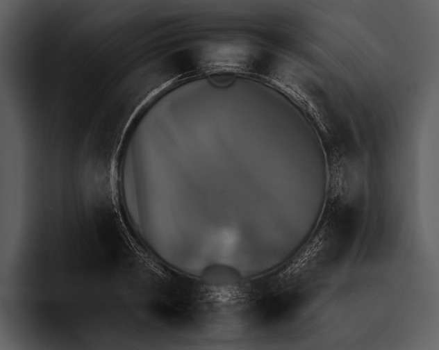 X0000095670798200801291136