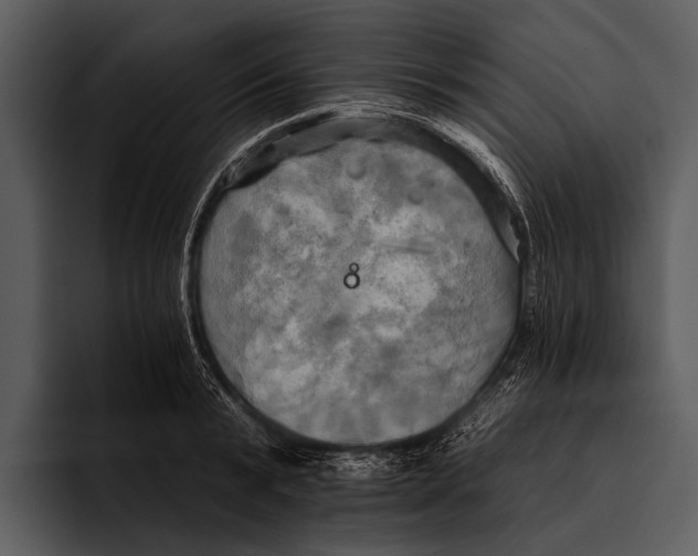 X0000095670799200801291136