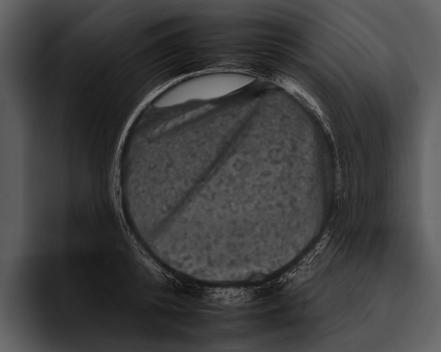 X0000095670800200801291136