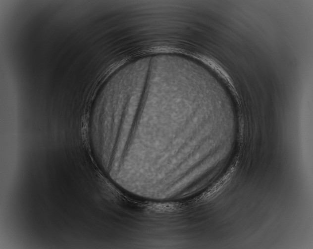 X0000095670801200801291136