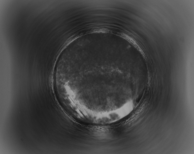 X0000095670802200801291135