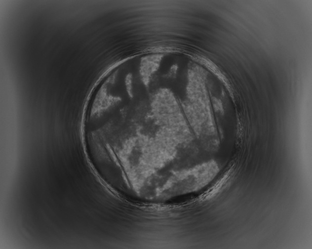 X0000095670803200801291135