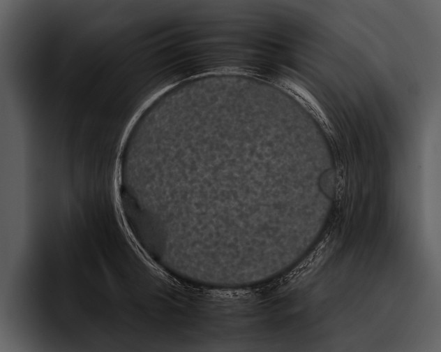 X0000095670804200801291135