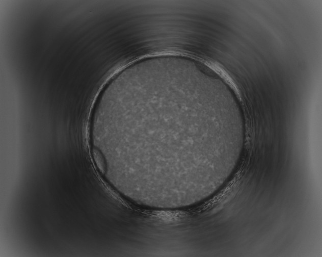 X0000095670805200801291135