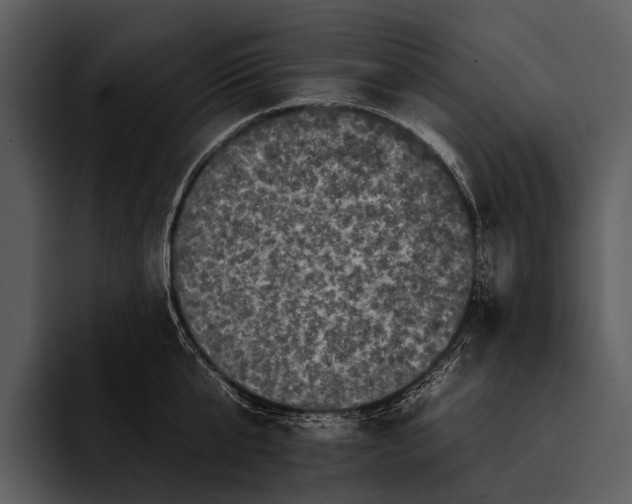 X0000095670807200801291135