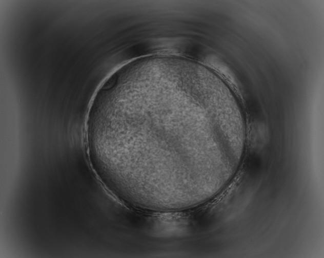 X0000095670808200801291135