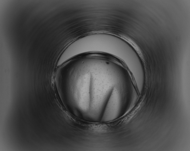 X0000095670809200801291135