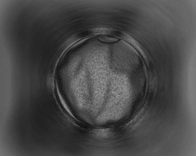 X0000095670810200801291135