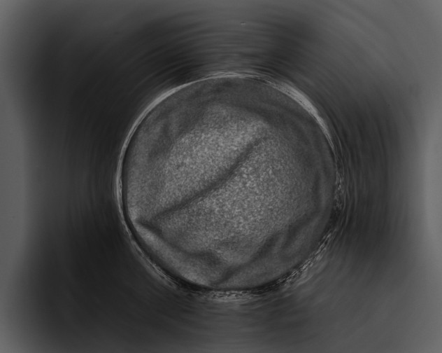 X0000095670811200801291135