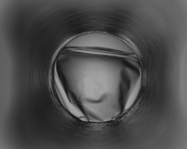 X0000095670812200801291135