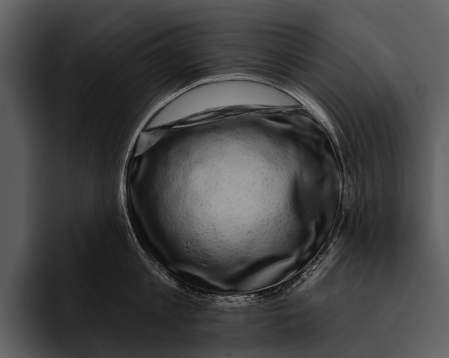 X0000095670813200801291135