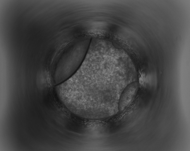 X0000095670819200801291135