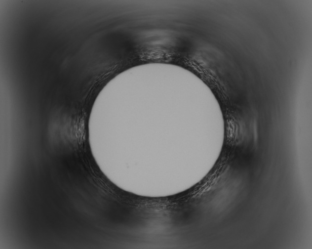 X0000095670820200801291135