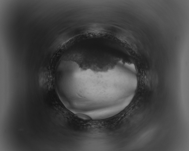 X0000095670822200801291135