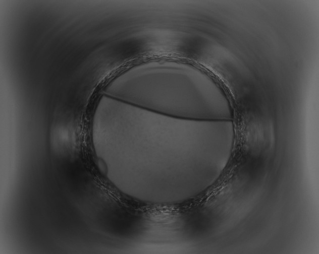 X0000095670823200801291135