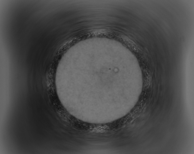 X0000095670824200801291135