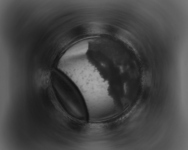 X0000095670825200801291135