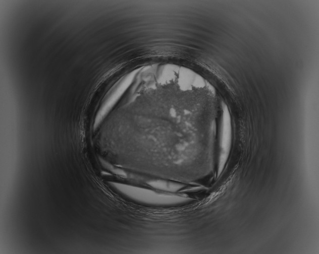 X0000095670826200801291135