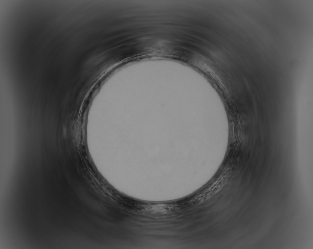 X0000095670828200801291135