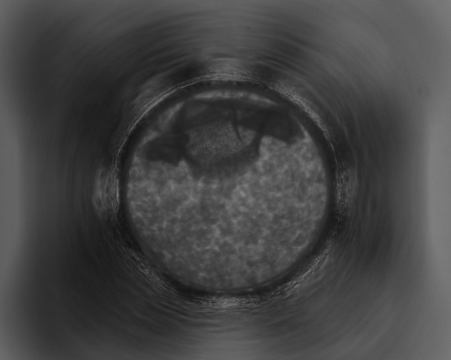 X0000095670829200801291135