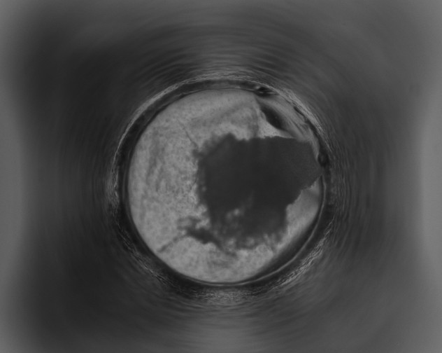 X0000095670830200801291135