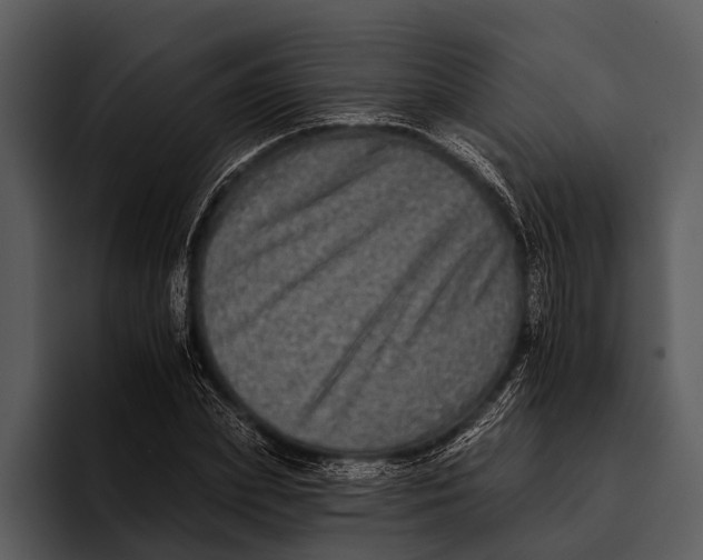 X0000095670831200801291135