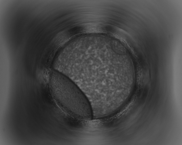 X0000095670833200801291135