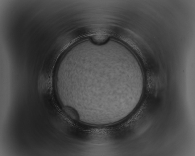 X0000095670834200801291135