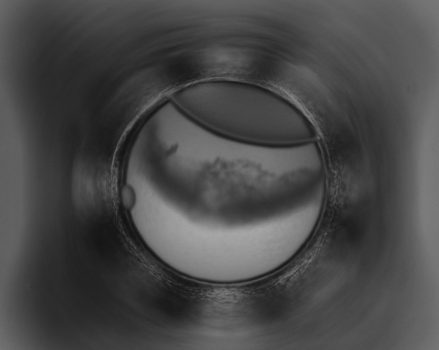 X0000095670835200801291135