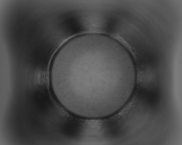 X0000095670836200801291135